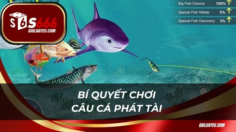 Câu cá phát tài S666 Bí quyết chơi câu cá phát tài thành công