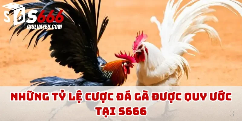 Những tỷ lệ cược đá gà được quy ước tại S666