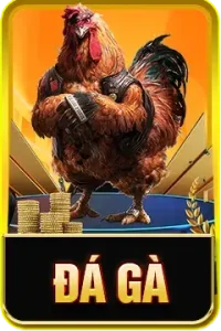 đá gà s666 preview